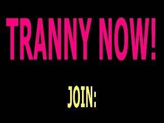 randy tranny dick show 19 - ashemaletube.com