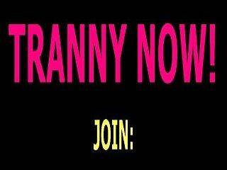 randy tranny johnson show 23 - ashemaletube.com