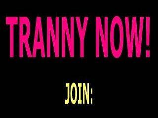 randy tranny johnson show 32 - ashemaletube.com